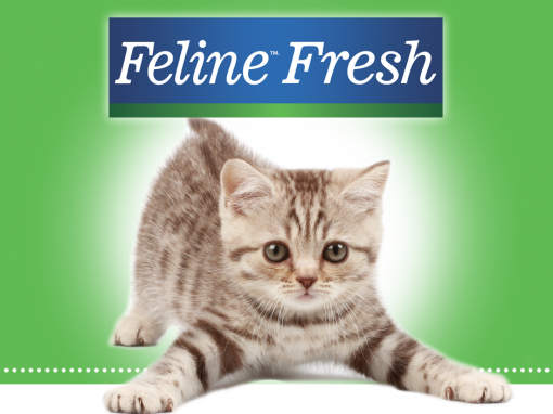 Feline Fresh