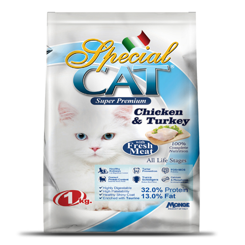 special cat food